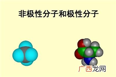 极性分子和非极性分子有哪些,什么是极性分子?什么是非极性分子？
