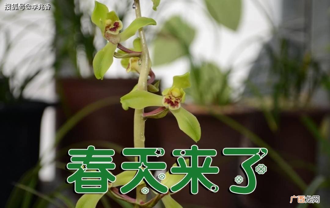 春天来了写一段话简短,春天来了的一段话？