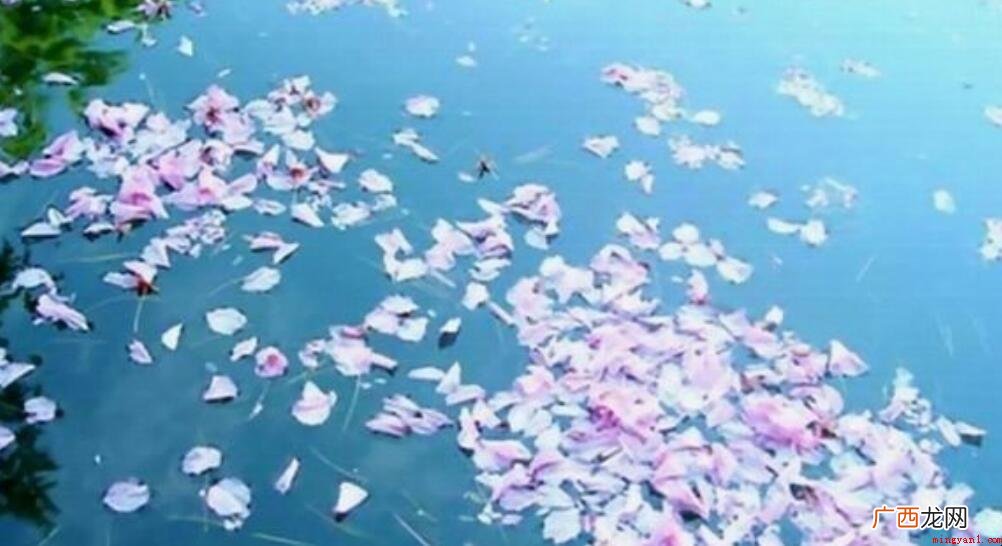 春去秋来自有时候是什么意思 花开花落自有时是什么意思