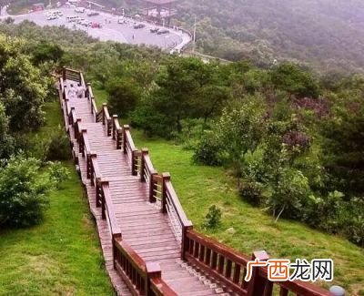 红崖谷景区开放了吗,红崖谷玻璃栈道2022年开放吗？