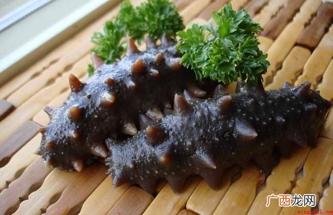 大伙儿很有可能吃过或是最起码听闻过海参,终究没吃过生猪肉难道 海参是植物还是动物