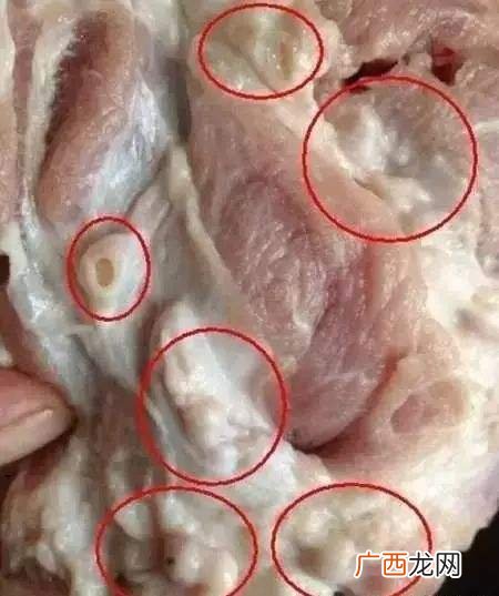 猪颈骨上的肉有淋巴吗,猪颈骨有淋巴吗？