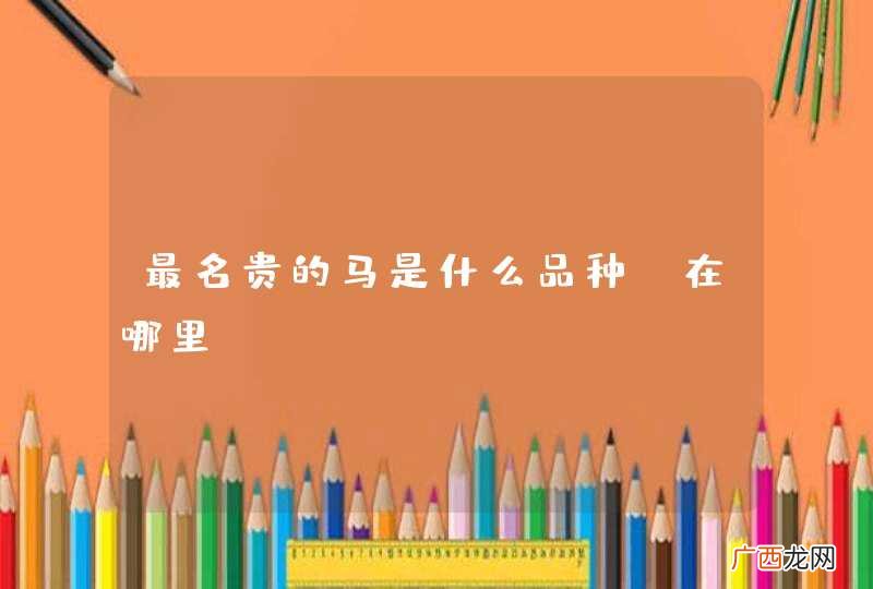 最名贵的马是什么品种，在哪里