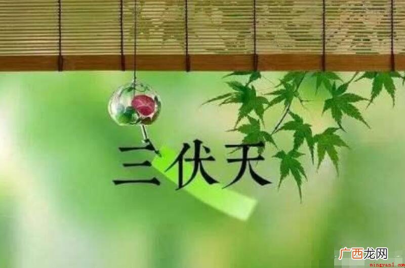 三伏天的来历习俗是什么 三伏天的由来习俗是什么