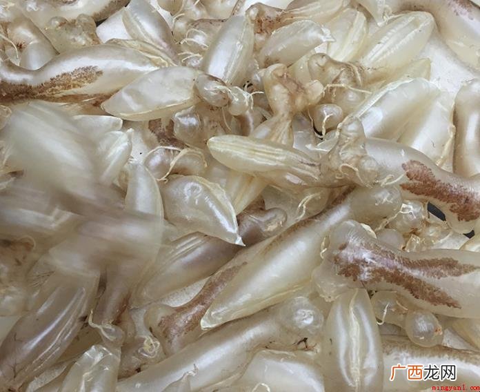 鱼鳔的功效是什么 鱼的容积约占身体的5%上下 鱼鳔的作用是什么