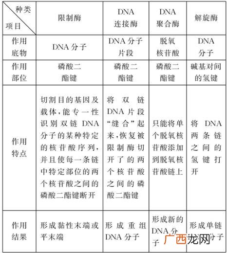 限制酶在原核生物中的作用是什么,限制酶的特性？