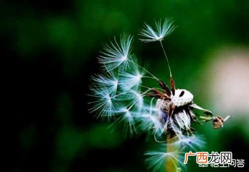 白手起家怎么创业呢,如何白手起家创业，有什么好方法？