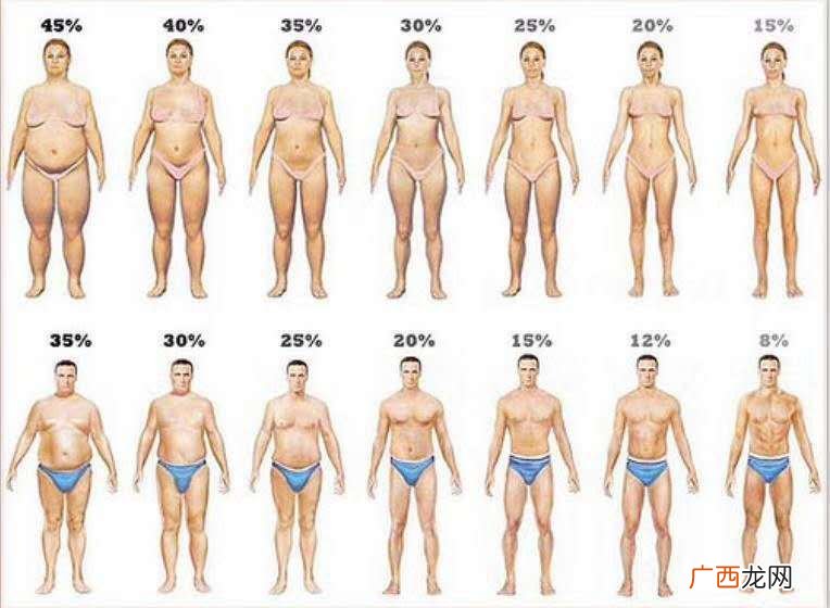 体脂率怎么测,体脂称体脂率是怎么测出的？