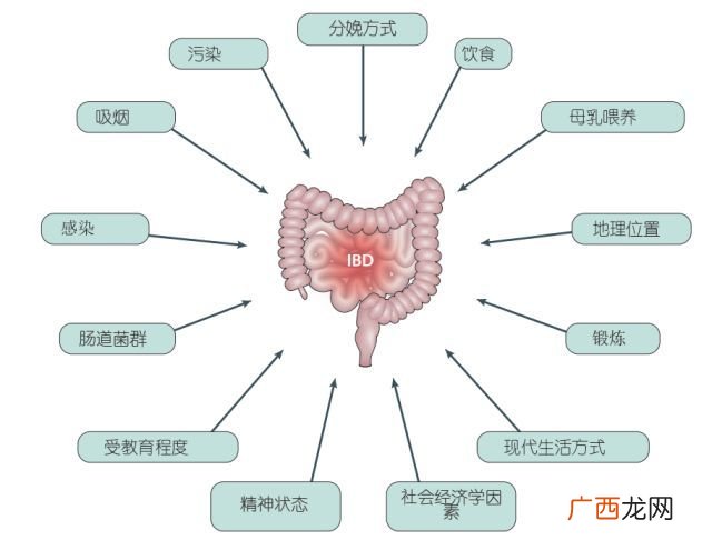什么是氧化应激反应啊,氧化应激和ros的关系？