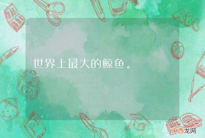 世界上最大的鲸鱼。