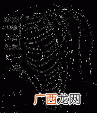 璇玑穴的功效作用有哪些,云在璇玑旁六寸啥意思？