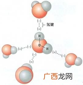 氢键是什么,什么是氢键什么是键能?