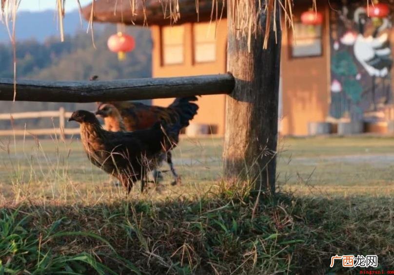 阡陌交通鸡犬相闻的意思是什么