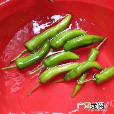 请问湖南土产渣辣椒怎么做的啊,辣椒渣用粘米粉还是糯米粉？