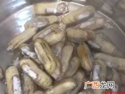 怎样做蛏子好吃又简单