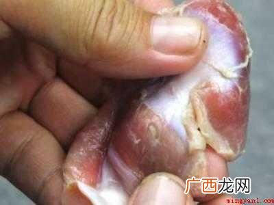 鸡胗怎么清洗