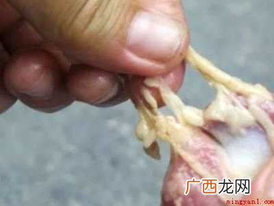 鸡胗怎么清洗