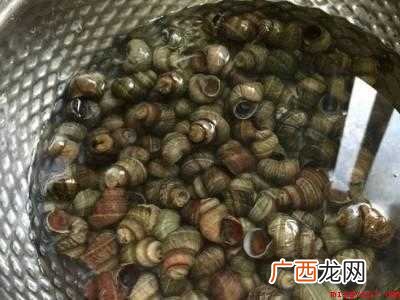 螺蛳怎么做