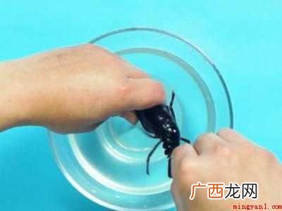活龙虾怎么做好吃又简单