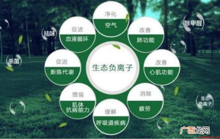有关负离子是啥 负电数相当于原子获得的电子数 负离子是什么