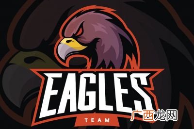 dota2vg战队是哪个国家的,VG是什么梗？