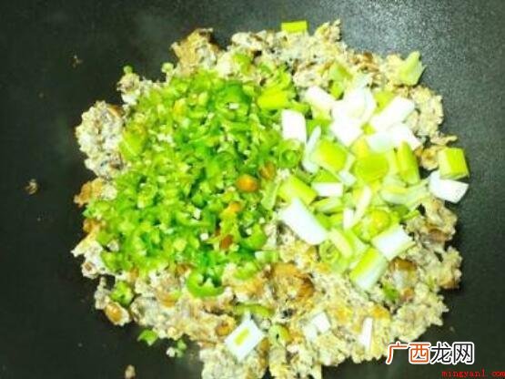 昆虫类知了怎么吃的内容 知了怎么吃