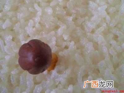 干了的毛笔墨汁怎么洗掉