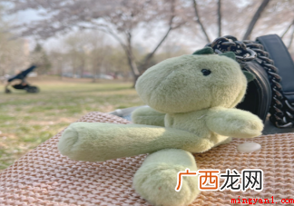 北京春游有哪些好玩的地方北京赏花应该去哪里 北京春游有哪些好玩的地方