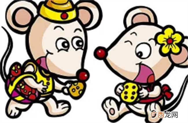 2022年出生属相特征