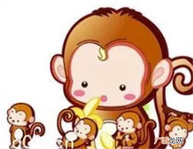 2004年出生的人是什么生肖的