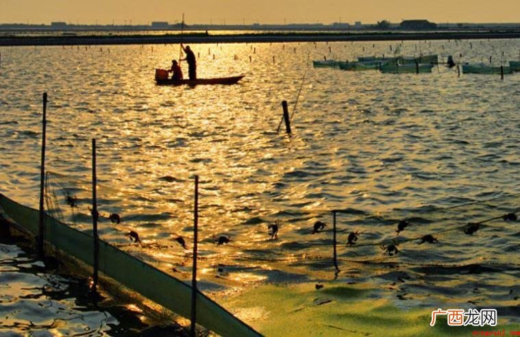 阳澄湖产生原因是什么? 阳澄湖形成原因是什么