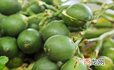 新鲜槟榔是什么味道,槟榔第一口不吐汁可以吗？