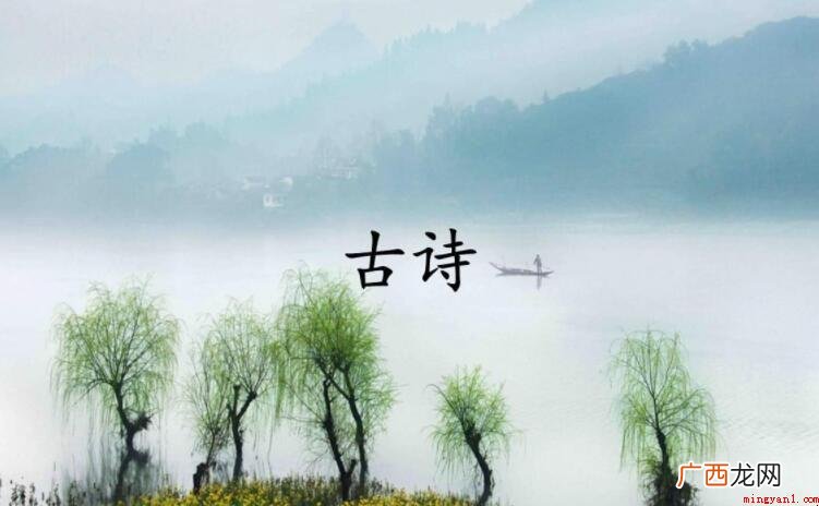 《初夏绝句》的原文是什么