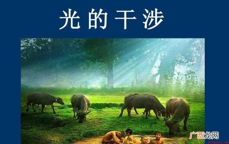 光的干涉有哪些种类