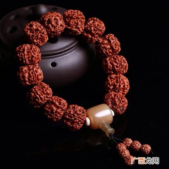 什么叫金刚菩提,金刚菩提特点？