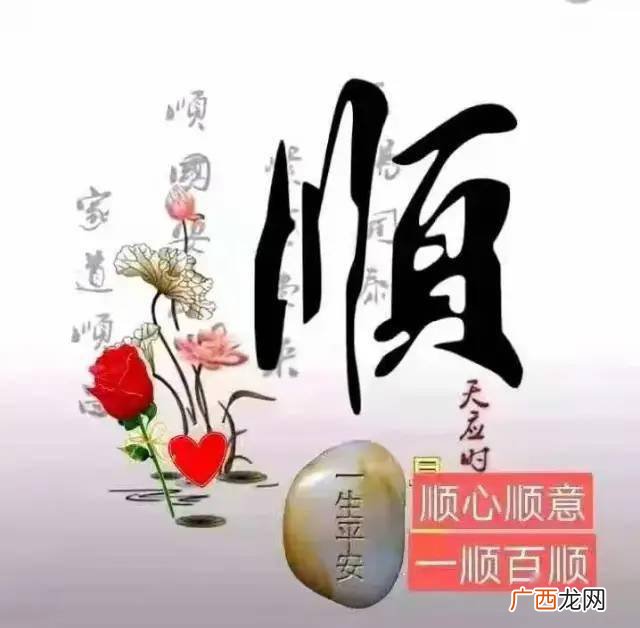 顺心顺意是什么意思,顺意的反义词是什么？