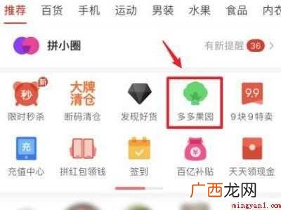 演示机型:Iphone 12 拼多多的多多斗地主在哪