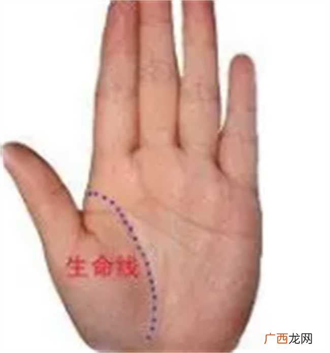 生命线有岛纹手相图解 生命线有岛纹手相图解及其化解