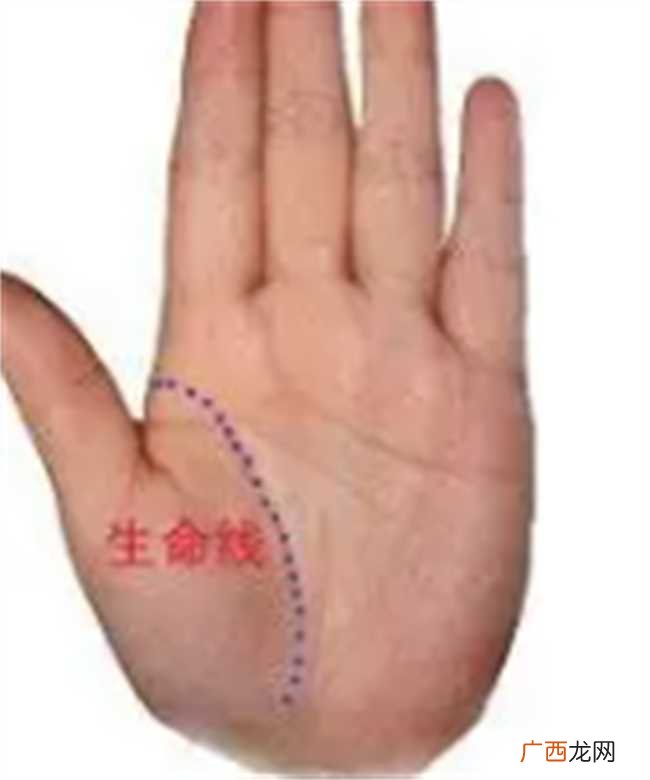 手相分析：生命线有横线手相图解