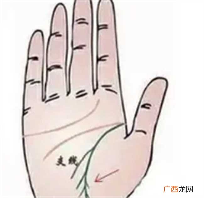 生命线末端有分叉手相图解