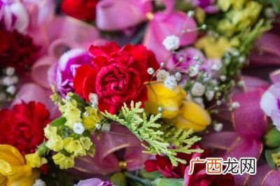 什么的鲜花嫩草填上词语,以“她慈祥的眼神，平静地望着我，像深深的潭水”仿写比喻句？
