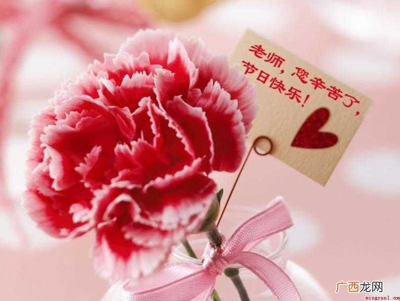 家长感谢老师的话20字怎么写