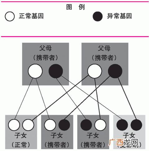 如何区别显性基因和隐性基因,显性性状和隐性性状的特点？