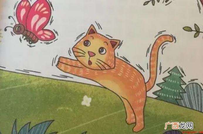 《一只想飞的猫》表述了哪些内容 《一只想飞的猫》表达了什么内容