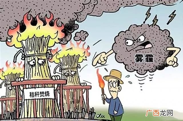 焚烧垃圾的危害有哪些,一次性垃圾焚烧有害吗？
