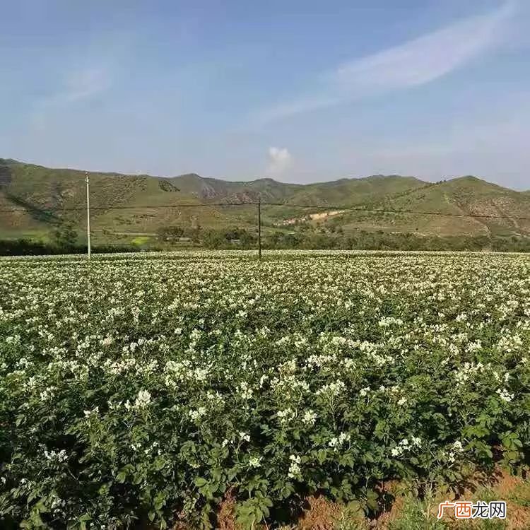 赤城县属于哪个市,赤城和怀来是一个地方吗？