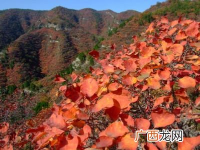 仙台山在哪个省哪个市,河北优待证免费景点有哪些,哪些比较值得去?