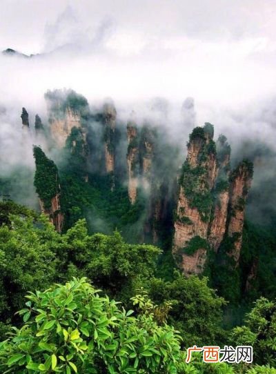 去张家界旅游什么季节最好,2021年8月去张家界安全吗？