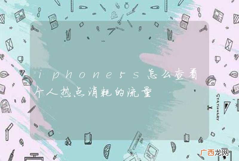 iphone5s怎么查看个人热点消耗的流量
