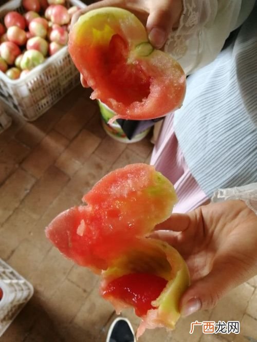 西红柿空果是什么原因造成的,冲施什么肥料西红柿才能不空果？